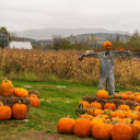 pumpkins and cornfields  screen for extension Chrome web store in OffiDocs Chromium