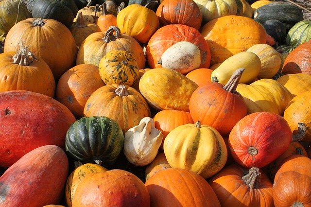 Free download Pumpkins Collections Decoration -  free photo or picture to be edited with GIMP online image editor