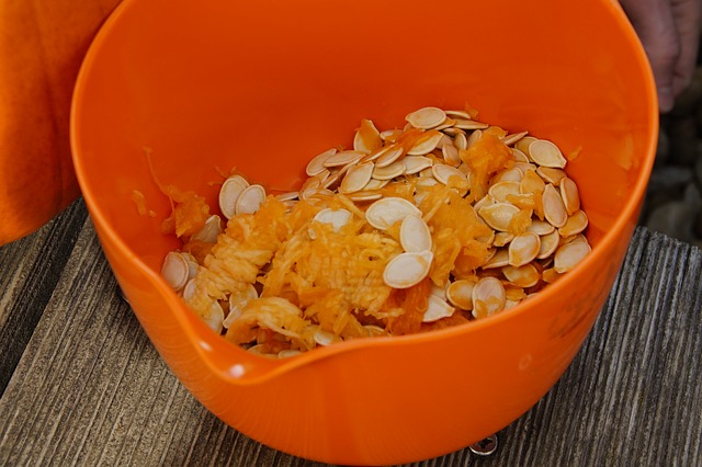 Free download pumpkin seeds fresh inner pulp free picture to be edited with GIMP free online image editor