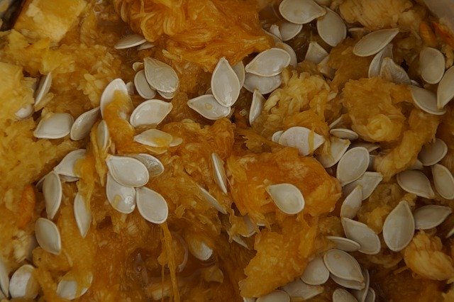 Free download Pumpkin Seeds Scrape Out -  free photo or picture to be edited with GIMP online image editor