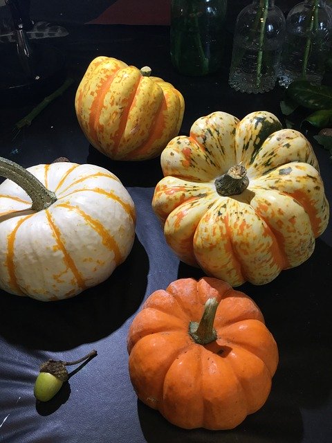 Pumpkins Gourd Autumn download gratuito - foto ou imagem grátis para ser editada com o editor de imagens online GIMP