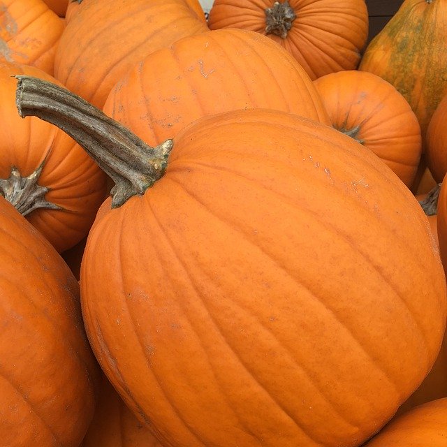 Gratis download Pumpkins Market Vegetables - gratis foto of afbeelding om te bewerken met GIMP online afbeeldingseditor