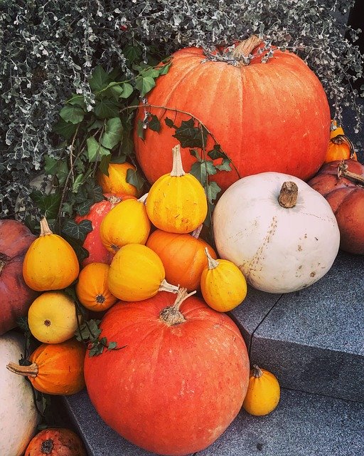 ดาวน์โหลด Pumpkins Pumpkin Halloween ฟรี - ภาพถ่ายหรือรูปภาพที่จะแก้ไขด้วยโปรแกรมแก้ไขรูปภาพออนไลน์ GIMP