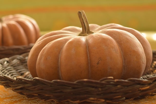 Free download pumpkins squash vegetables basket free picture to be edited with GIMP free online image editor