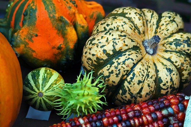 Muat turun percuma Pumpkin Thanksgiving Autumn - foto atau gambar percuma untuk diedit dengan editor imej dalam talian GIMP
