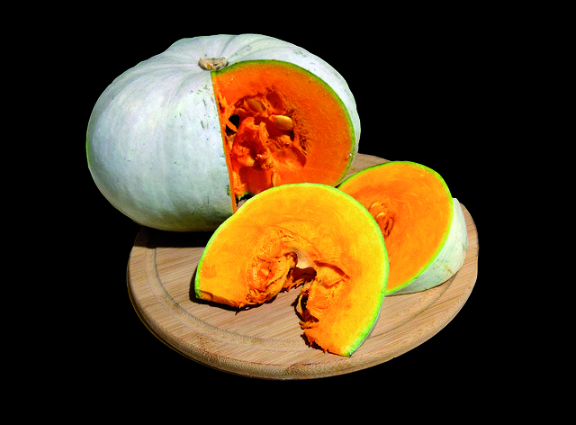 Free download Pumpkin Vegetable Orange -  free photo or picture to be edited with GIMP online image editor