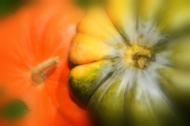 Free download Pumpkin Vegetables Fall -  free photo or picture to be edited with GIMP online image editor