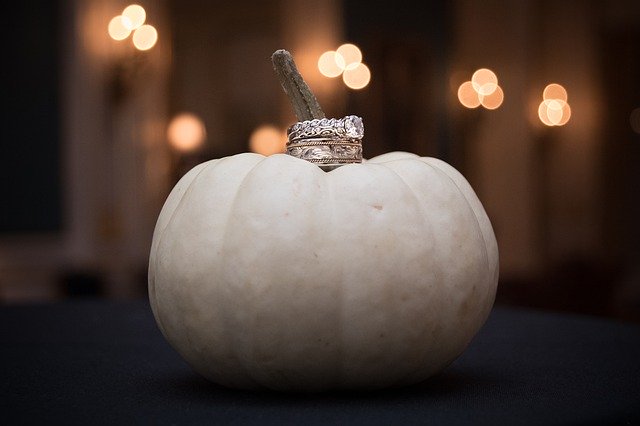 Descarga gratuita Pumpkin Wedding Rings: foto o imagen gratuita para editar con el editor de imágenes en línea GIMP