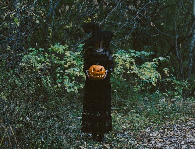 Free download pumpkin witch halloween costume free picture to be edited with GIMP free online image editor