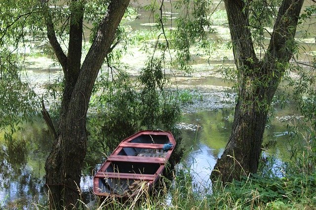 Free download Punts Rowboat Trees -  free photo or picture to be edited with GIMP online image editor