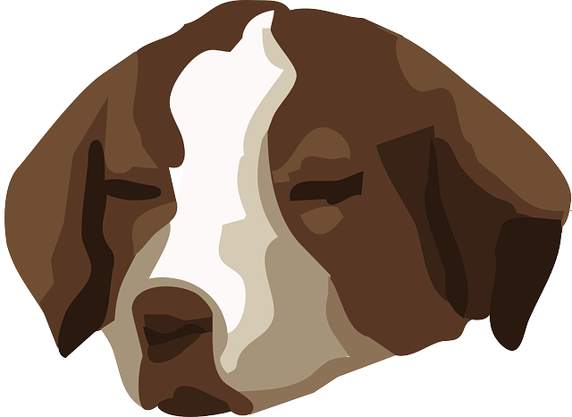 Free download Puppy Sleeping Eyes Closed - Free vector graphic on Pixabay free illustration to be edited with GIMP free online image editor