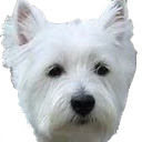 Puppy Snake Game  screen for extension Chrome web store in OffiDocs Chromium