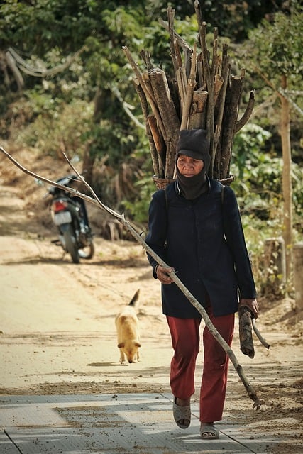Free download puppy woman old people labor free picture to be edited with GIMP free online image editor