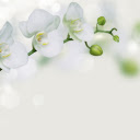 Pure white orchids  screen for extension Chrome web store in OffiDocs Chromium