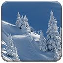 Pure Wintry White  screen for extension Chrome web store in OffiDocs Chromium