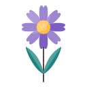 Purple Aster Bloom  screen for extension Chrome web store in OffiDocs Chromium