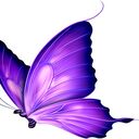 purple butterfly wallpaper  screen for extension Chrome web store in OffiDocs Chromium