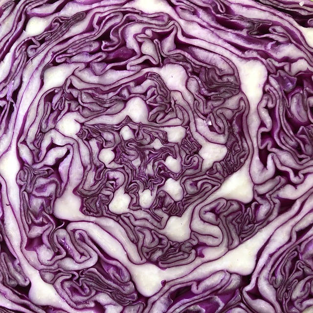 Free download purple cabbage cabbage pattern free picture to be edited with GIMP free online image editor