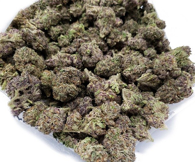 Free download purple diamond purple weed free picture to be edited with GIMP free online image editor