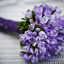 Purple flowers are faithful  screen for extension Chrome web store in OffiDocs Chromium