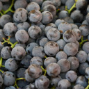 purple grapes  screen for extension Chrome web store in OffiDocs Chromium