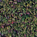 Purple green leaves  screen for extension Chrome web store in OffiDocs Chromium