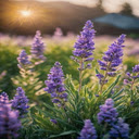 Purple lavender field wallpaper  screen for extension Chrome web store in OffiDocs Chromium