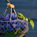 Purple Plums, Woven Baskets Velvet Bounty  screen for extension Chrome web store in OffiDocs Chromium