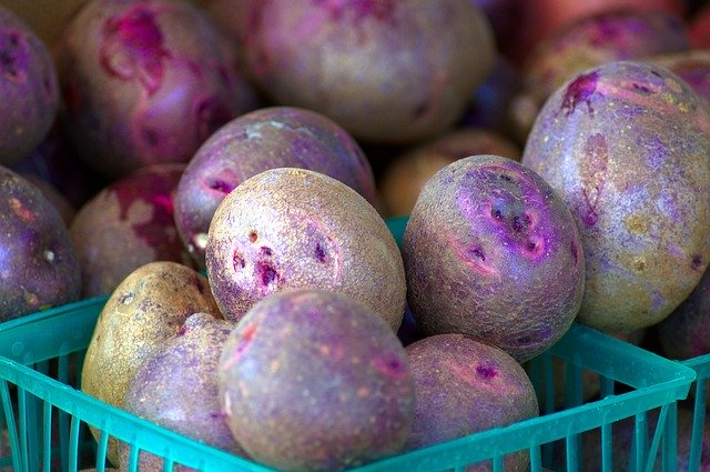 Téléchargement gratuit de pommes de terre violettes au marché - photo ou image gratuite à éditer avec l'éditeur d'images en ligne GIMP