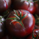 Purple red tomatoes  screen for extension Chrome web store in OffiDocs Chromium