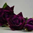Purple velvet roses  screen for extension Chrome web store in OffiDocs Chromium