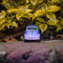 Purple Volkswagen Beetle Near Green Leaves  screen for extension Chrome web store in OffiDocs Chromium