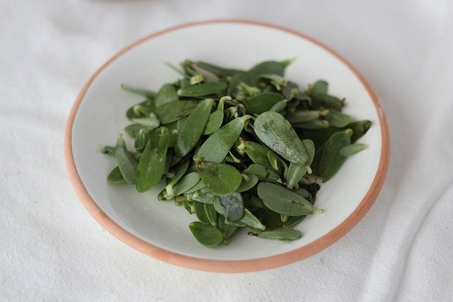 Tải xuống miễn phí Purslane Botany Flora - ảnh hoặc ảnh miễn phí được chỉnh sửa bằng trình chỉnh sửa ảnh trực tuyến GIMP