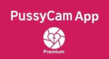 Free download Pussycam Logo free photo or picture to be edited with GIMP online image editor