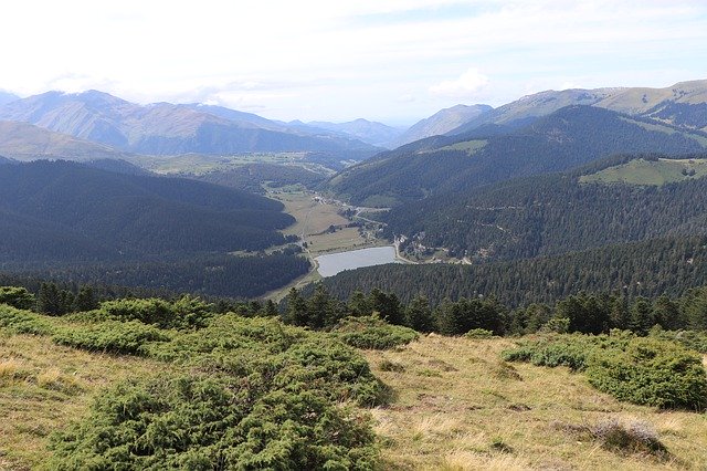 Bezpłatne pobieranie Jodła górska Pireneje - bezpłatne zdjęcie lub obraz do edycji za pomocą internetowego edytora obrazów GIMP