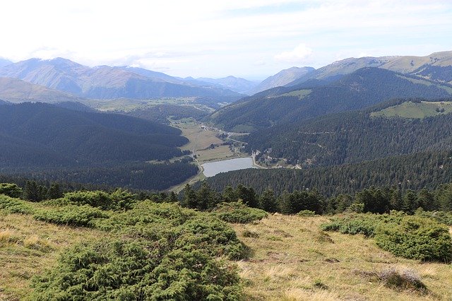 Baixe grátis Pyrenees Mountain Fir - foto ou imagem grátis para ser editada com o editor de imagens online GIMP