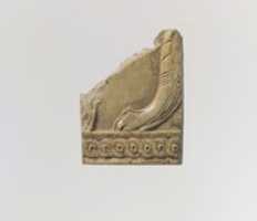 Free download Pyxis fragment free photo or picture to be edited with GIMP online image editor