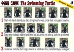 Free download Qi Qong The Swimming Turtle Chi Kung Douwe Geluk free photo or picture to be edited with GIMP online image editor