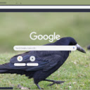 Qua  screen for extension Chrome web store in OffiDocs Chromium