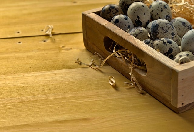 Free download quail eggs eggs happy easter easter free picture to be edited with GIMP free online image editor