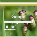 Quaking Grass  screen for extension Chrome web store in OffiDocs Chromium