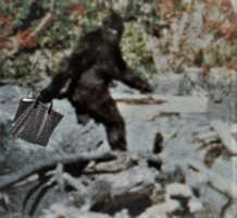 Free download QUARANTINI free photo or picture to be edited with GIMP online image editor