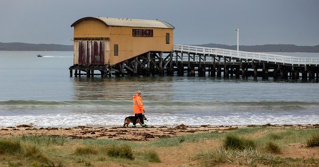 Free download Queenscliff Boat Shed Walk -  free photo or picture to be edited with GIMP online image editor