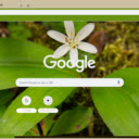 Queen’s Cup  screen for extension Chrome web store in OffiDocs Chromium