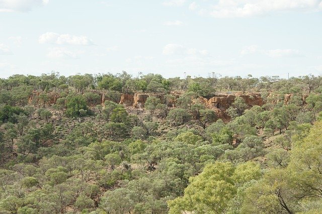 Unduh gratis Queensland Outback Summer - foto atau gambar gratis untuk diedit dengan editor gambar online GIMP