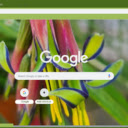 Queen’s Tears  screen for extension Chrome web store in OffiDocs Chromium