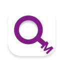 Query Master  screen for extension Chrome web store in OffiDocs Chromium