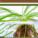 Quillwort  screen for extension Chrome web store in OffiDocs Chromium