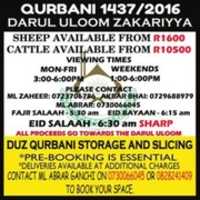 Free download Qurbani 1437b free photo or picture to be edited with GIMP online image editor