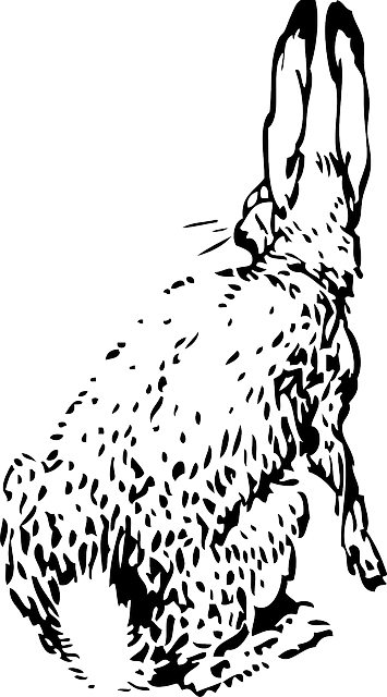 Free download Rabbit Behind Animal - Free vector graphic on Pixabay free illustration to be edited with GIMP free online image editor